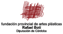 Fundación Provincial de Artes Plásticas 