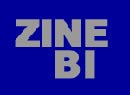 Festival Internacional de Cine Documentales y Cortometrajes de Bilbao - Zinebi